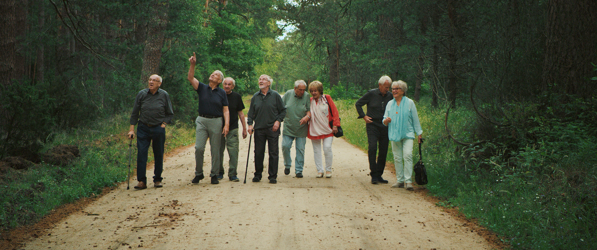 Eine Gruppe von acht älteren Geschwistern spaziert auf einem Waldweg in Pommern und schaut nach oben.