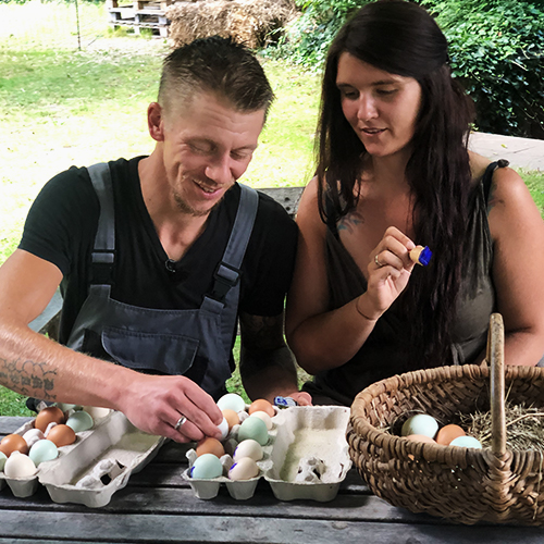 Junges Paar sortiert Eier in Kartons