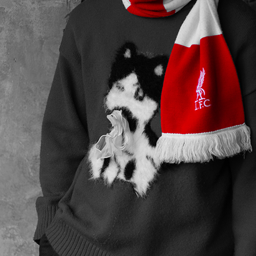 Pulli mit Katzenmotiv und Liverpool FC Fanschal