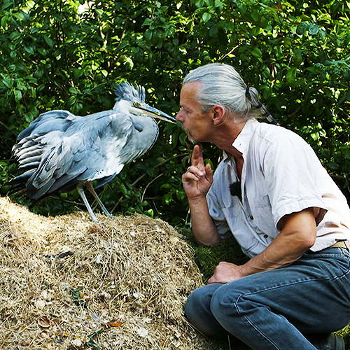 Mann kniet vor grossem Vogel und küsst ihn auf den Schnabel